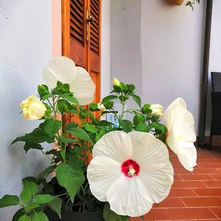 Apartment Alla Terrazza Di Corte Casale Monferrato